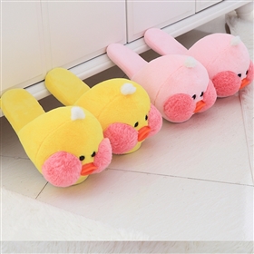 Ins Duck Cotton Slippers